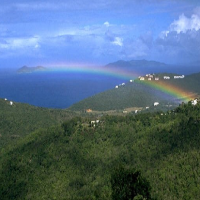 rainbow cropped