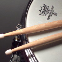 snare