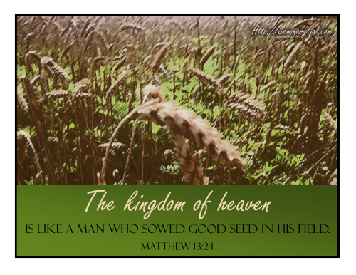kingdom of heaven is like a man who sowed good seed