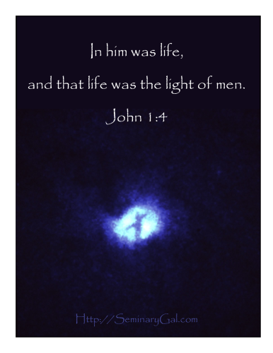 in him was life