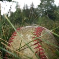 baseball in tall weeds