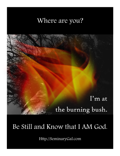 SGL 19Where are you Moses burning bush