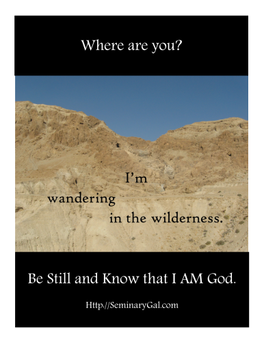 SGL 23 2014Where are you Moses wandering