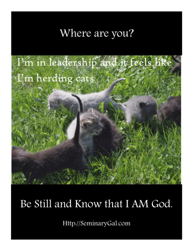 Where are you Moses in leadership