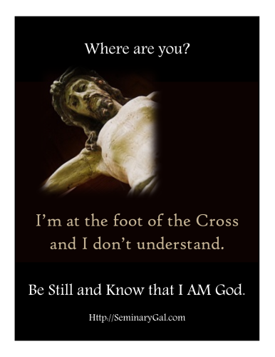 SGL 39 I'm at the foot of the Cross and I don't understand.  Mary1