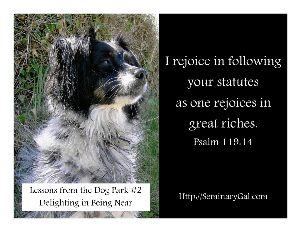 Lessons from the Dog Park 2 Delighting in Being Near