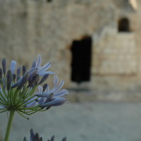 garden tomb