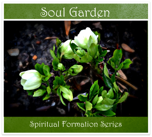 soul garden