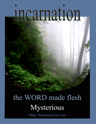 mysterious incarnation