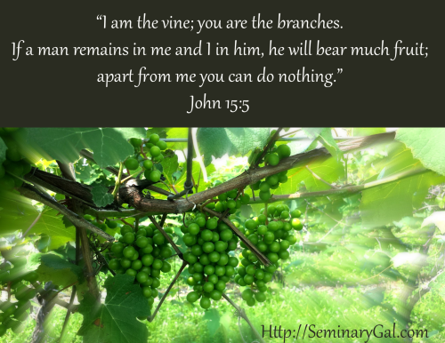 joy in the vine