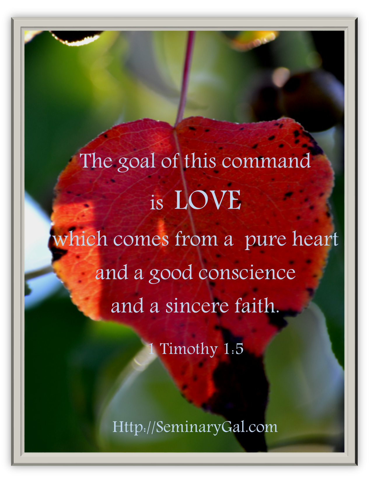Commanded Love Overcoming Controversies with Love – Seminary Gal